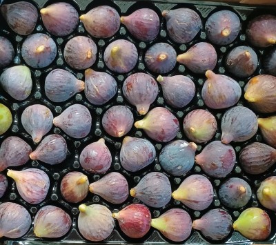 Foto Fichi Neri Calibro 52 Origine Spagna Marchio Ruby    2