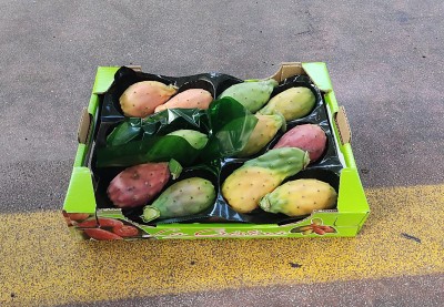 Foto Fichi D'India Calibro 12 Origine Italia Marchio Cristina 1