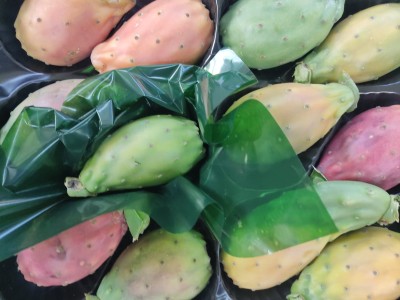 Foto Fichi D'India Calibro 12 Origine Italia Marchio Cristina 2