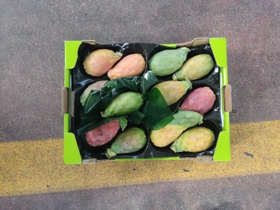 Foto Fichi D'India Calibro 12 Origine Italia Marchio Cristina 3