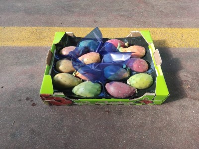 Foto Fichi D'India Calibro 14 Origine Italia Marchio Cristina	      1