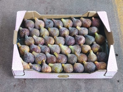Foto Fichi Varietà Collo Di Dama Calibro 48 Origine Spagna Marchio Cartone Rosa         1