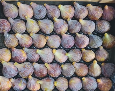 Foto Fichi Varietà Collo Di Dama Calibro 48 Origine Spagna Marchio Cartone Rosa         2