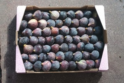 Foto Fichi Varietà Collo Di Dama Calibro 63 Origine Spagna Marchio Cartone Rosa  3