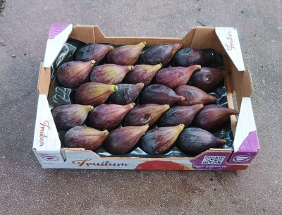 Foto Fichi Varietà Colar Calibro 22 Origine Spagna Marchio Fruitum  1