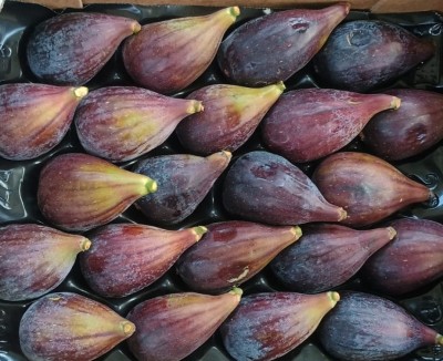 Foto Fichi Varietà Colar Calibro 22 Origine Spagna Marchio Fruitum  2