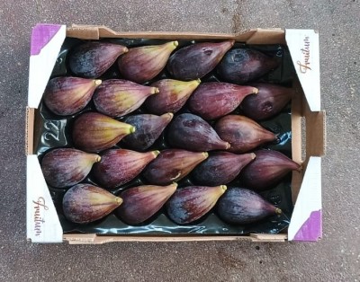Foto Fichi Varietà Colar Calibro 22 Origine Spagna Marchio Fruitum  3