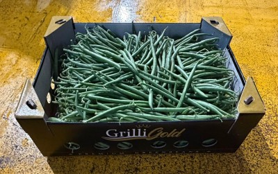 Foto Fagiolini Origine Senegal Marchio Grilli Clarice 1