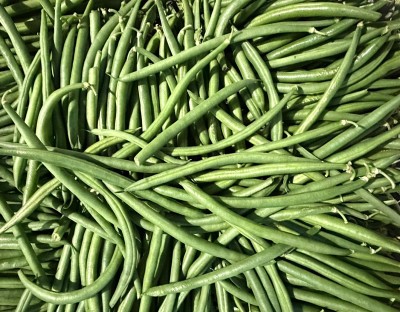 Foto Fagiolini Origine Senegal Marchio Grilli Clarice 2