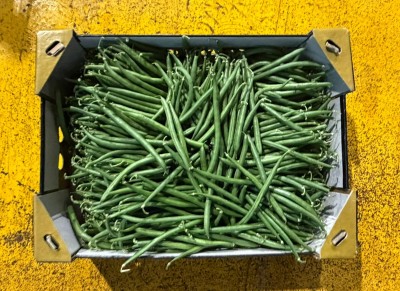 Foto Fagiolini Origine Senegal Marchio Grilli Clarice 3