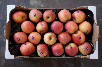 Foto Mele Fuji Calibro 75/80 Origine Italia Marchio Melinda 2