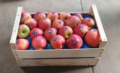 Foto Mele Fuji Calibro 75+ Origine Italia Marchio Cdo 1