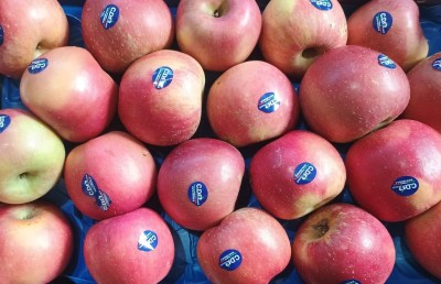 Foto Mele Fuji Calibro 75+ Origine Italia Marchio Cdo 2