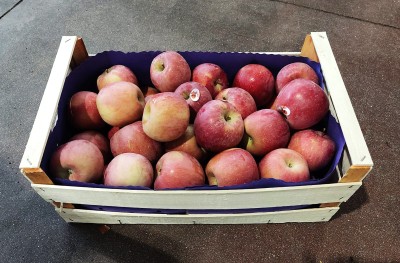 Foto Pere Fuji Calibro 80+ Origine Italia Marchio Agricola Gloria 1