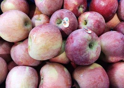 Foto Pere Fuji Calibro 80+ Origine Italia Marchio Agricola Gloria 2