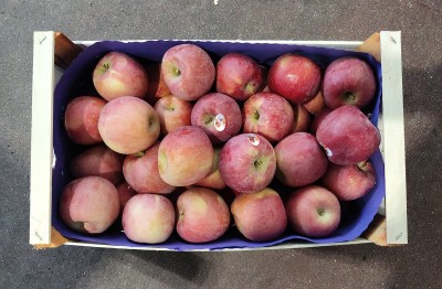 Foto Pere Fuji Calibro 80+ Origine Italia Marchio Agricola Gloria 3