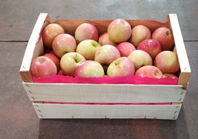 Foto Fuji lavorazione In Cassa di Legno Calibro 75+ Origine Italia Marchio Alegra 1