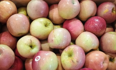 Foto Fuji lavorazione In Cassa di Legno Calibro 75+ Origine Italia Marchio Alegra 2