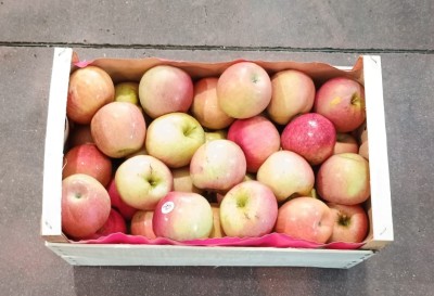 Foto Fuji lavorazione In Cassa di Legno Calibro 75+ Origine Italia Marchio Alegra 3