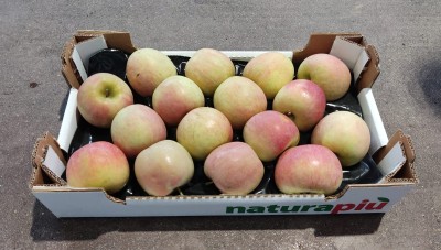 Foto Pere Fuji Origine Italia Marchio Natura Piu 1