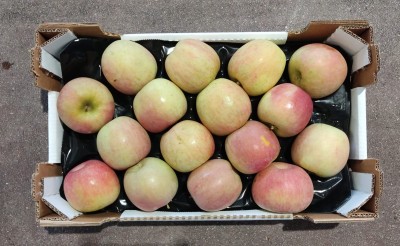 Foto Pere Fuji Origine Italia Marchio Natura Piu 3