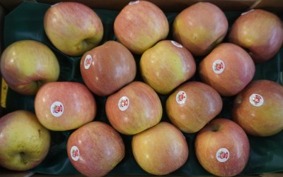 Foto Fuji Calibro 85/90 Origine Italia Marchio Melapiù  2