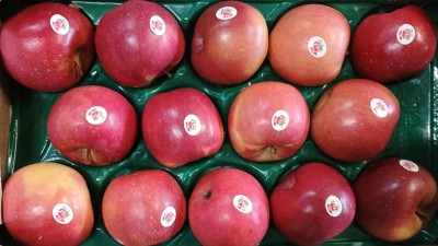 Foto Mele Fuji Calibro 90/95 Origine Italia Marchio  Melapiù              2