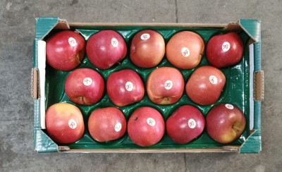 Foto Mele Fuji Calibro 90/95 Origine Italia Marchio  Melapiù              3