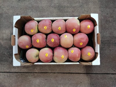 Foto Mele Fuji Calibro 15 Origine Italia Marchio Sattin	            3