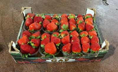 Foto Fragole Confezione Da 2 Kg Origine Italia Marchio Gaf 1