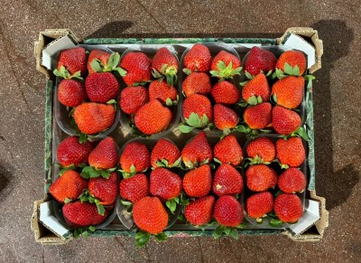 Foto Fragole Confezione Da 2 Kg Origine Italia Marchio Gaf 3