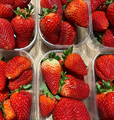Foto Fragole Lavorazione In Padella Marchio Maglione  2