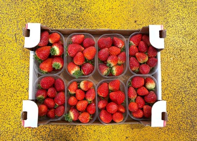 Foto Fragole Confezione Da 2 Kg Origine Italia Marchio Fragola 3