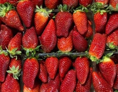 Foto Fragole Origine Albania Marchio Fresh Fruit 2