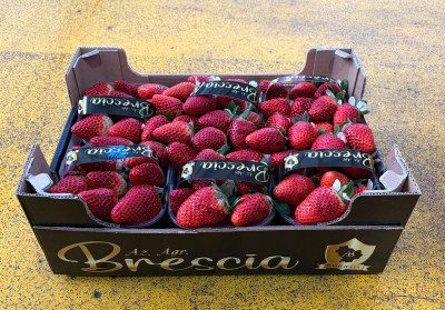 Foto Fragole Arwen Origine italia Marchio Brescia           1