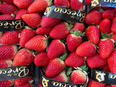 Foto Fragole Arwen Origine italia Marchio Brescia           2