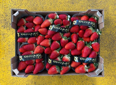 Foto Fragole Arwen Origine italia Marchio Brescia           3