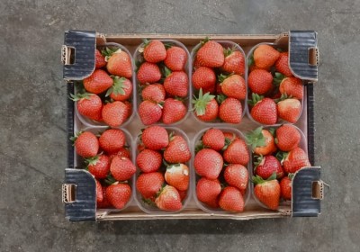 Foto Fragole Varietà Arwen Origine Italia Marchio Brescia Antonio  3