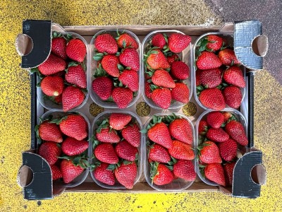 Foto Fragole Varietà LLosana Lavorazione In Padella  Origine Italia Marchio Brescia Antonio       3
