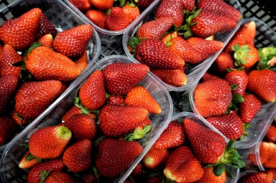 Foto Fragole Lavorazione in Casse da 10 cestini  da 500 gr Origine Italia Marchio Agriroma 2