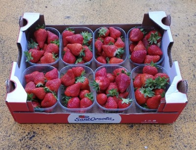 Foto Fragole Confezione Da 8 Vaschette Da 125 gr Origine Italia Marchio Sant'Orsola  1