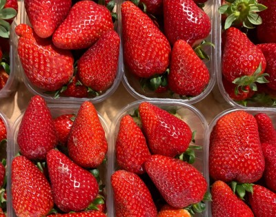 Foto Fragole Varietà Fortuna Origine Italia Marchio Bontà Italiane 2