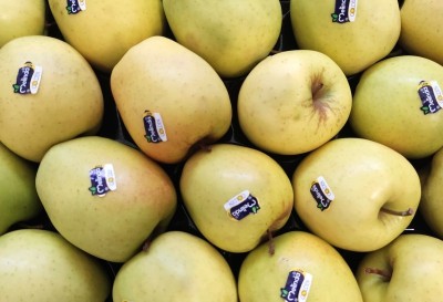 Foto Golden Melinda Padella  Calibro 75/80 Origine Italia Marchio Melinda 2