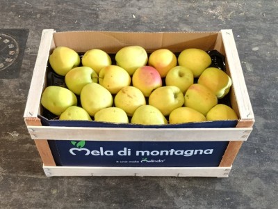 Foto Mele Golden Calibro 75/80 Origine Italia Marchio Melinda Di Montagna  1