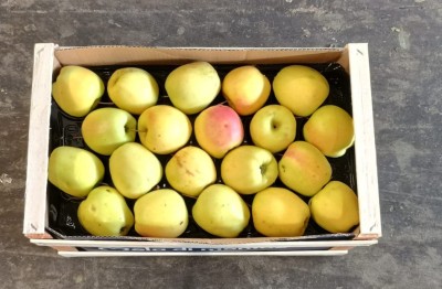 Foto Mele Golden Calibro 75/80 Origine Italia Marchio Melinda Di Montagna  3