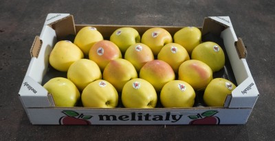 Foto Mele Golden calibro 80/85 Lavorazione in Padella  origine Italia marchio Melitaly        1