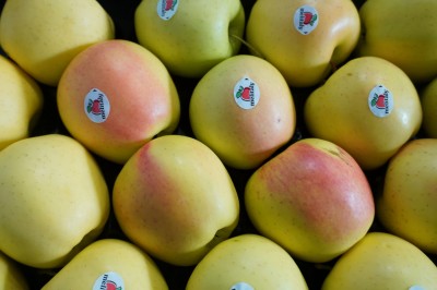 Foto Mele Golden calibro 80/85 Lavorazione in Padella  origine Italia marchio Melitaly        2