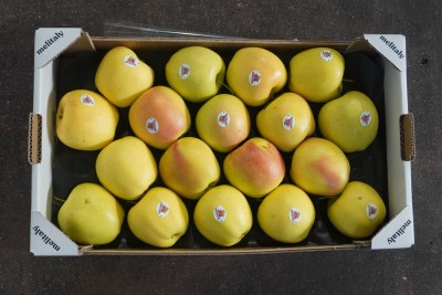 Foto Mele Golden calibro 80/85 Lavorazione in Padella  origine Italia marchio Melitaly        3
