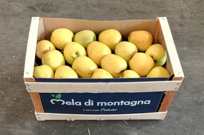 Foto Mele Golden Calibro 80/85 Origine Italia Marchio Montagna  1