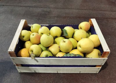 Foto Mele Golden Calibro 75+ Origine Italia Marchio  Agricola  Gloria 1